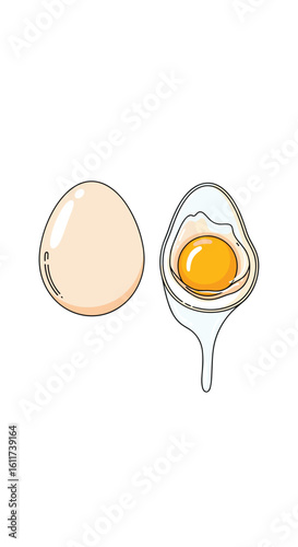 Fresh whole egg and cracked open egg with golden yolk and albumen dripping