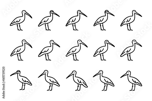 Ibis Lineup: A stylized pattern of ibises in black and white, forming a visually appealing and orderly composition, each bird meticulously rendered.