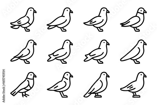 Pigeon Illustration in Line Art: A collection of line art illustrations depicting pigeons in various poses, offering a versatile visual for design and communication needs.