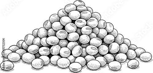 Textured illustration of a pile of white soybeans, a healthy food staple
