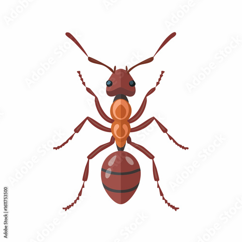 Detailed Illustration of an Ant with Clear Segmentation and Distinct Features Depicted