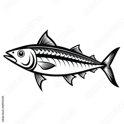 Detailed outline illustration of a mackerel fish a marine creature isolated on white background