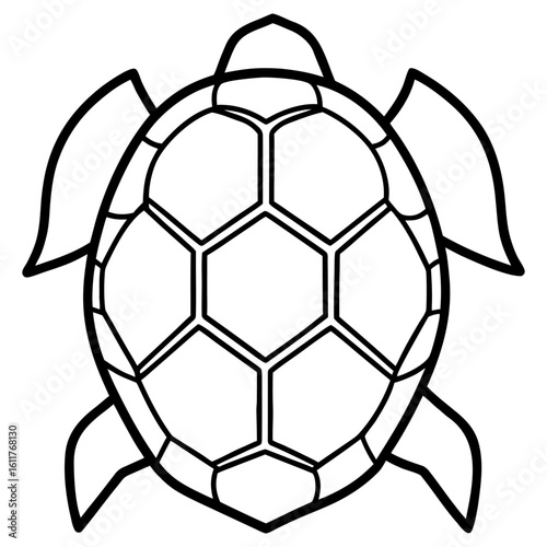 A turtle shell with a hexagonal pattern is isolated on white background, showing its unique design