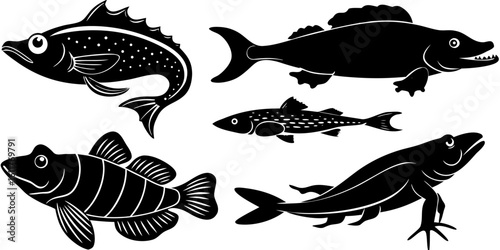 Vector  silhouette illustration featuring a variety of fish and an amphibian in a graphic style design