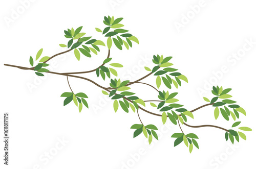 isolated leaves on white background vector design