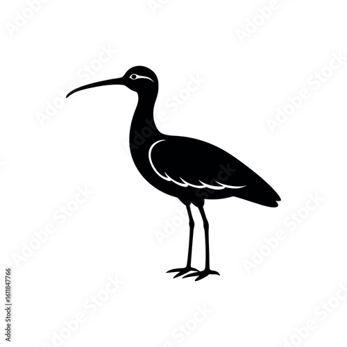 A whimbrel Bird's silhouette art vector illustration.