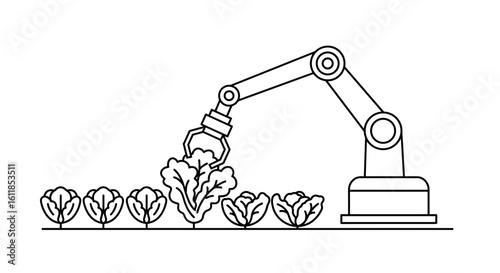 Robotic arm harvesting lettuce in hydroponic farm setup  