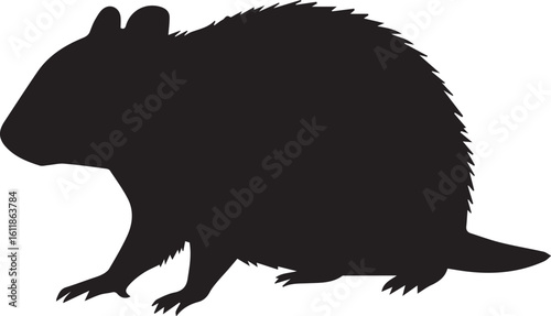 Black vector of a wombat with a stout body