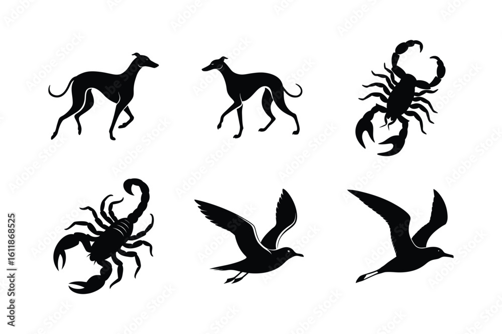 Obraz premium Animal silhouette pack with elegant form and detail Silhouette Vector illustration