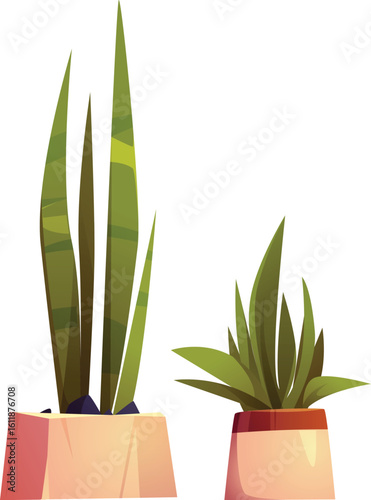 Set of home potted plants and trees in flowerpots Vector