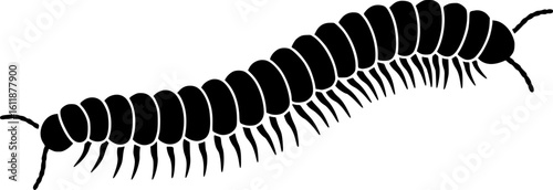 insect illustration depicts a segmented black millipede arthropod, displaying distinctive body structure
