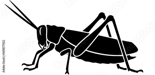 katydid silhouette line art vector illustration with a white background
