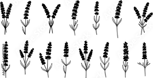 lavender silhouette line art vector illustration with a white background
