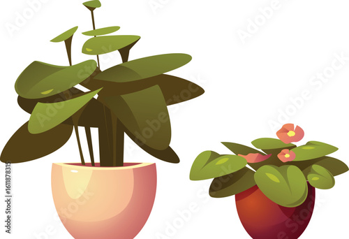 Set of home potted plants and trees in flowerpots Vector