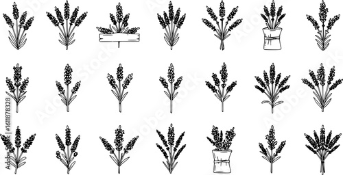 lavender silhouette line art vector illustration with a white background
