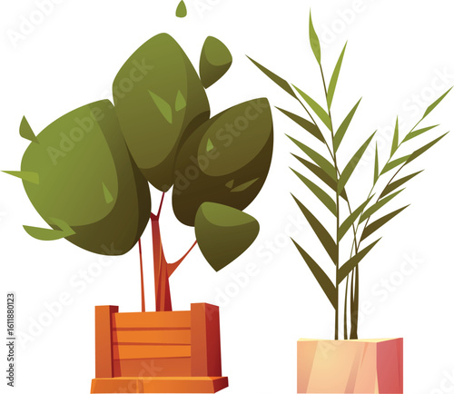 Set of home potted plants and trees in flowerpots Vector