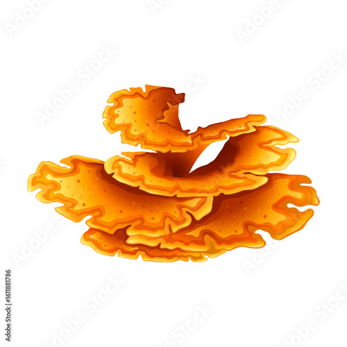Vibrant Orange Shelf Fungus Illustration Isolated on White Background