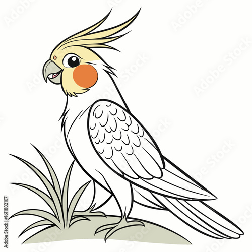 vector illustration of a parrot