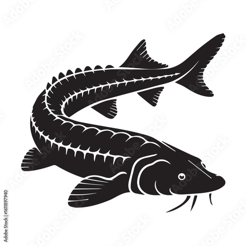 Black-and-white-illustration-of-a-sturgeon-fish