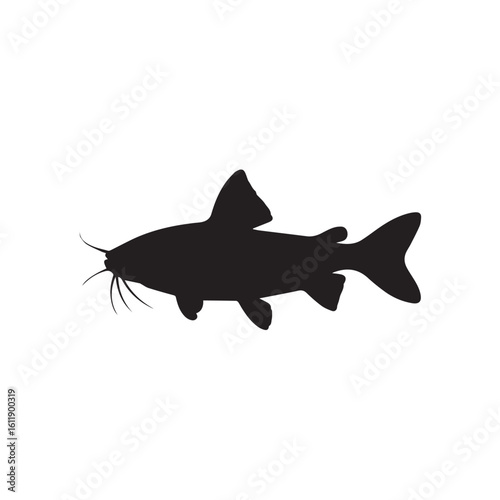 Silhouette-of-a-catfish-with-prominent-whiskers