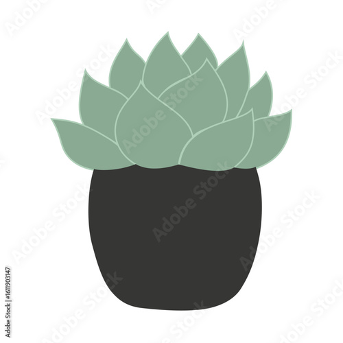 Potted green succulent plant drawing, perfect for home decor, plant care, and nature-themed designs