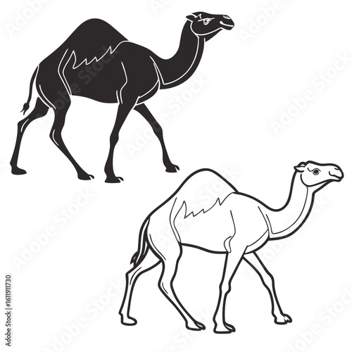 Two camels walking silhouette and outline isolated on white background