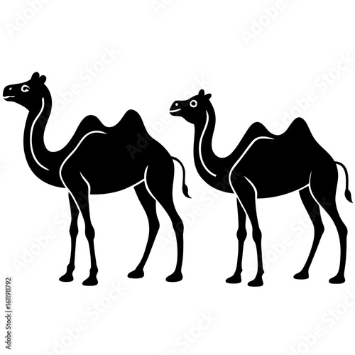 Two camels silhouette isolated on white background