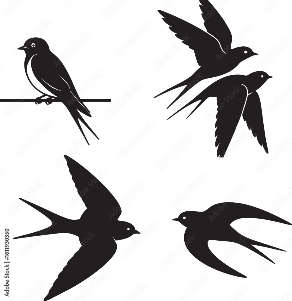 Fototapeta premium Swallow Silhouette EPS Flying, Perched, and Gliding Bird Vector Isolated on White Background