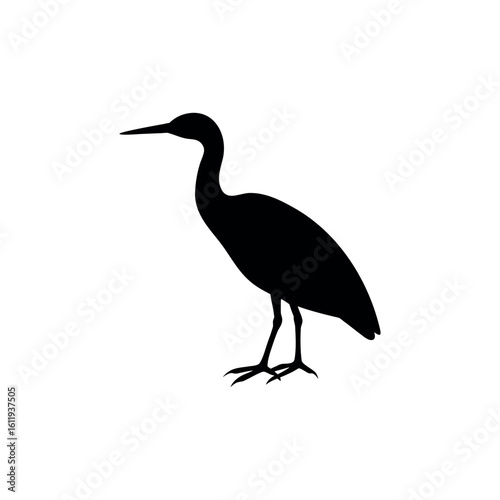 A bittern Bird's silhouette art on vector illustration.