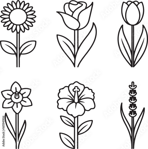 Elegant Flower Icons – Linear Vector Set of Garden Favorites in Simple Outline