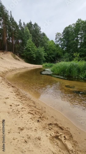 Krajobraz nad rzeką. Drzewa i zielone, gęste zarośla rosnące nad rzeką. Landscape by the river. Trees and green, dense thickets of sewage by the river