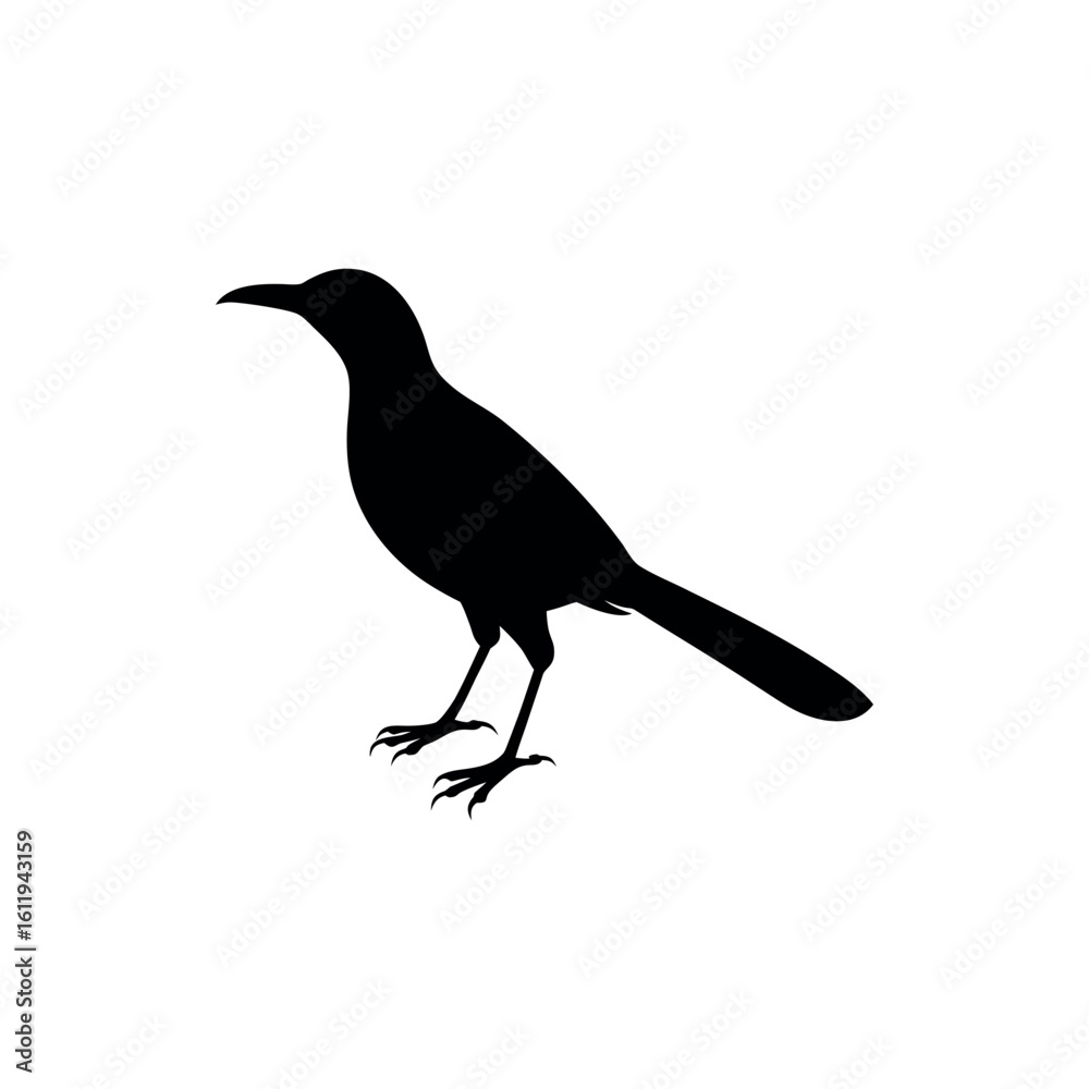 Obraz premium A friarbird Bird's silhouette art on vector illustration.