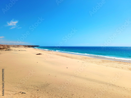 Landscape of fine sand on the beach at low tide in Fuerteventura. Coastal landscapes and wild nature. Paradise lagoon background.