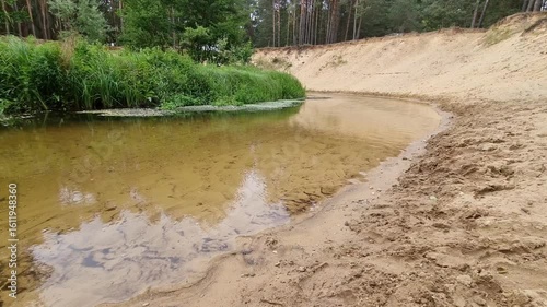 Krajobraz nad rzeką. Drzewa i zielone, gęste zarośla rosnące nad rzeką. Landscape by the river. Trees and green, dense thickets of sewage by the river