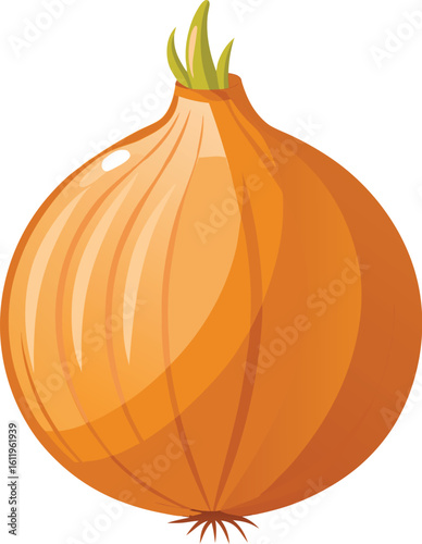 Organic onion illustration with natural dry skin texture