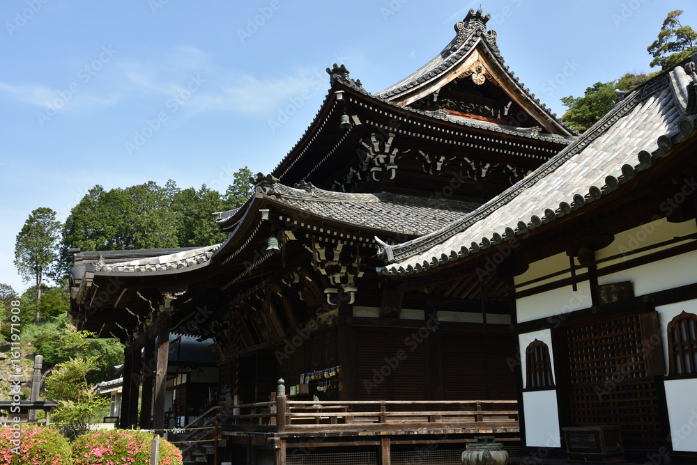 Fototapeta premium 春の三室戸寺 本堂(京都府宇治市)