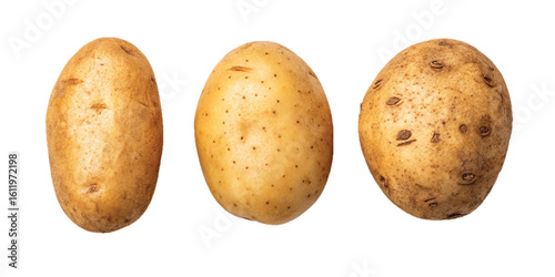 An Isolated Potato Background Transparent Png, Png Format