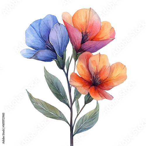 Garden Pea Flower, watercolor painting vector, isolated on a white background.