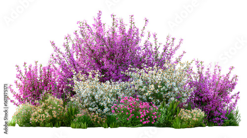 Fototapeta Naklejka Na Ścianę i Meble -  Colorful flowering bushes in a lush garden arrangement