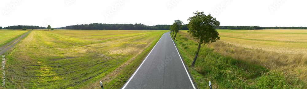 Fototapeta premium country side fields landscape with road and trees isolated on white or transparent png