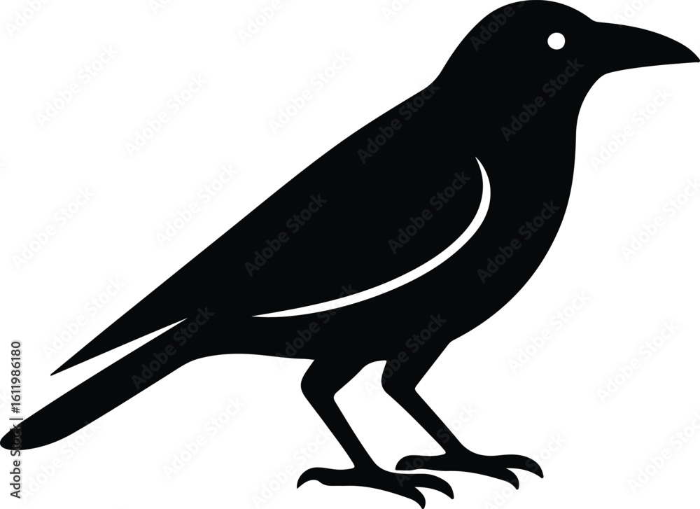 Obraz premium Silhouette crow standing black shape isolated bird vector illustrator