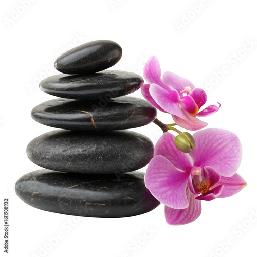 3d zen stones and pink orchid arrangement