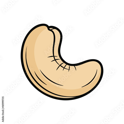 Creamy Cashew Nut Kernel. This rich anacardium seed offers a wholesome, natural diet option. It symbolizes a delicious, nutritious treat and beneficial sustenance.