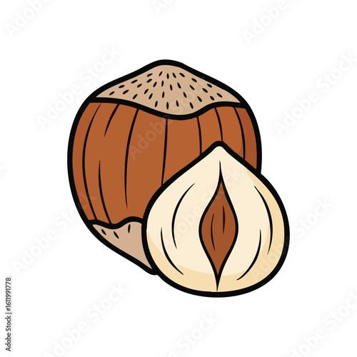 Whole and Halved Hazelnut Art. Detailed drawing of a complete and split filbert. This vibrant graphic highlights healthy eating, natural goodness, and culinary uses.