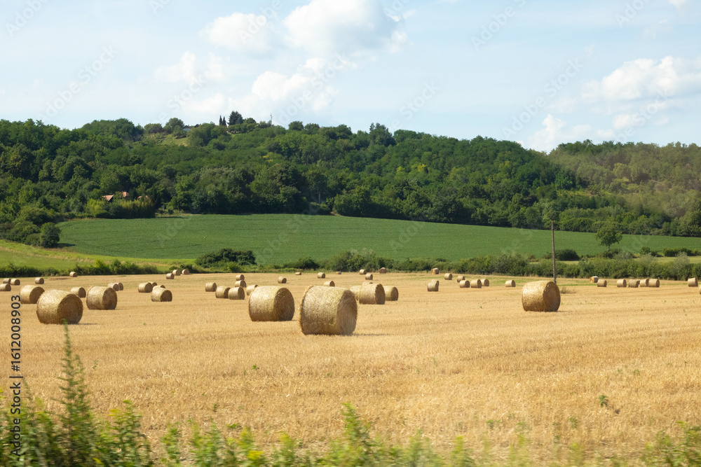 Obraz premium Rural Landscape with Hay Bales and Green Hills