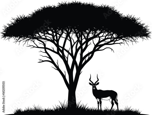 Silhouette of a Kudu Antelope and Acacia Tree in African Savanna