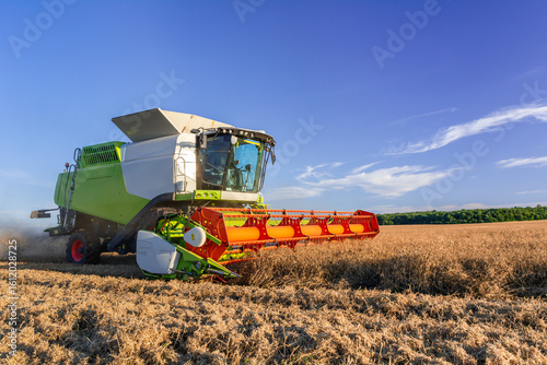 Canvastavla Pea Harvest