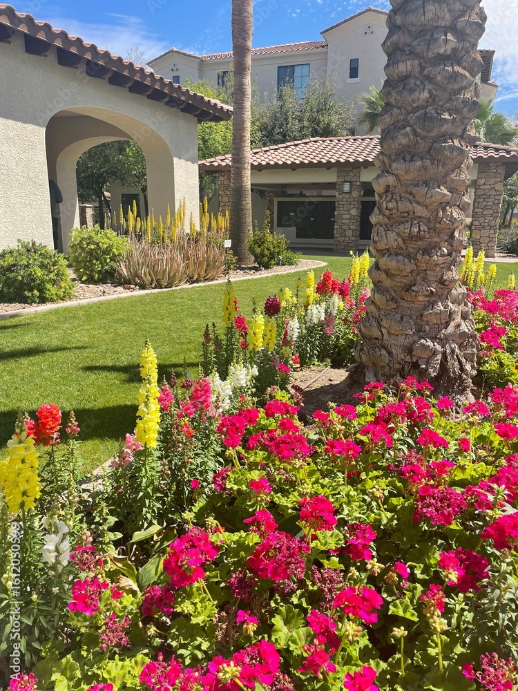 Fototapeta premium garden with flowers