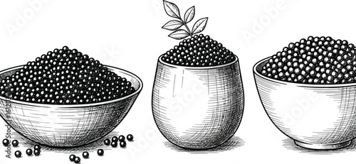 Three bowls filled with caviar and a plant on a white background sketch