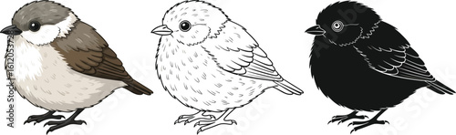 Cute bird illustration set drawing of chickadee in color outline and silhouette style art editable